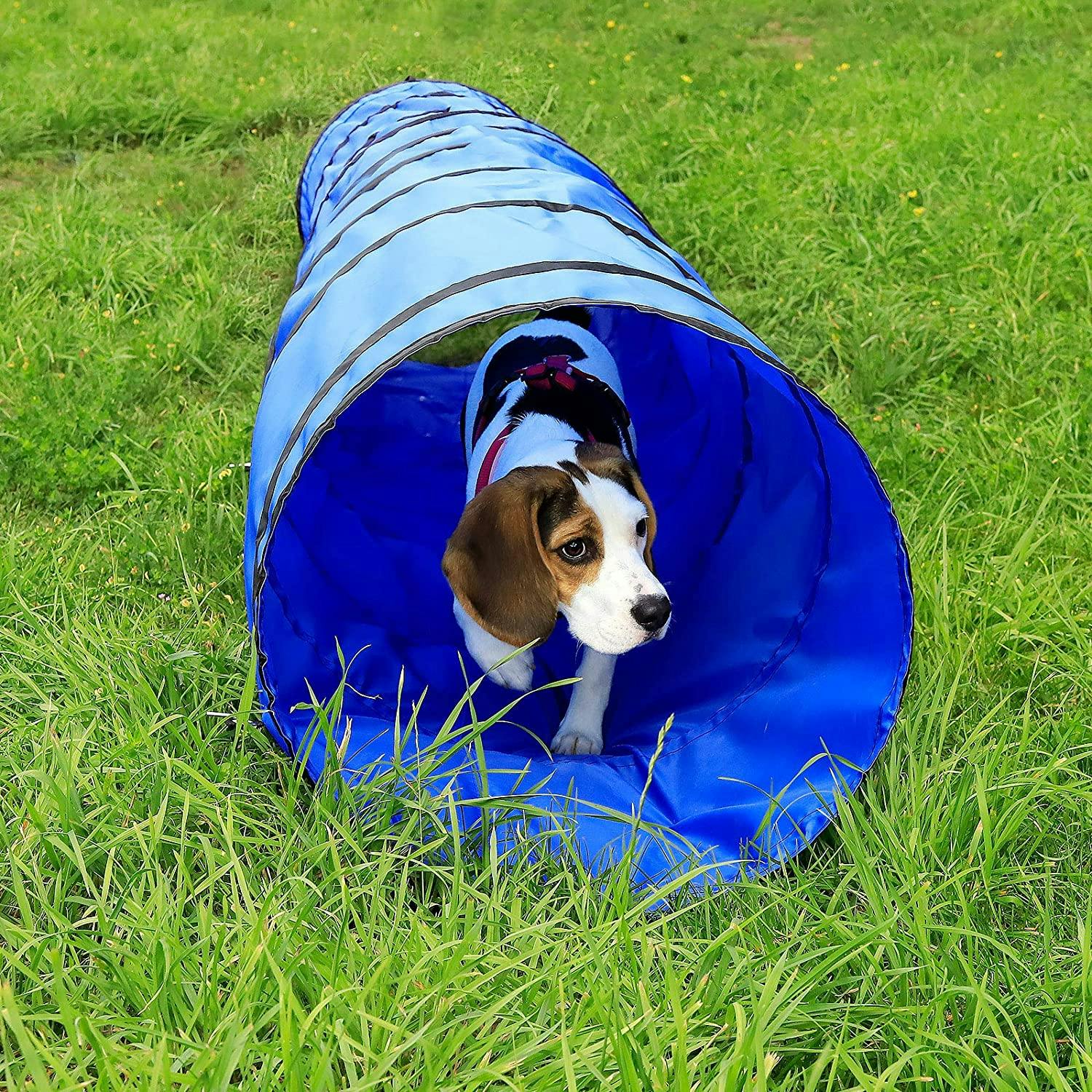 Best dog hot sale agility tunnels